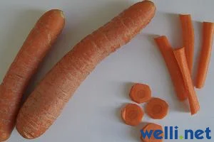 Möhre / Karotte / Mohrrübe - Daucus carota