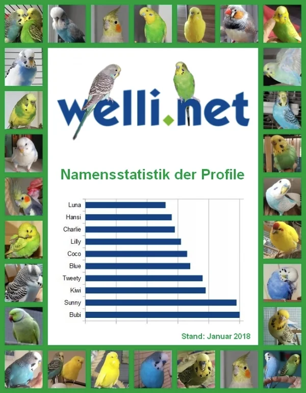 Wellensittich-Bild: Das waren im Januar 2018 die beliebtesten Namen für Wellensittich. Diese Statistik entstammt den angelegten Wellensittich-Profilen bei Welli.net