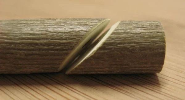 Wellensittich-Bild: Der spätere Sitzast wird zunächst gerade gesägt, anschließend eine kleine Perle schräg. Wenn man den richtigen Winkel erwischt, passt die Holzperle aufgefädelt perfekt zum Sitzast. 