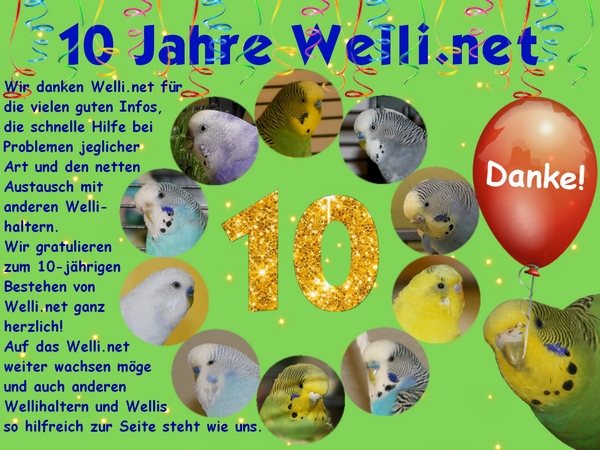 Herzlichen Glückwunsch zum 10-jährigen Bestehen von Welli.net.
