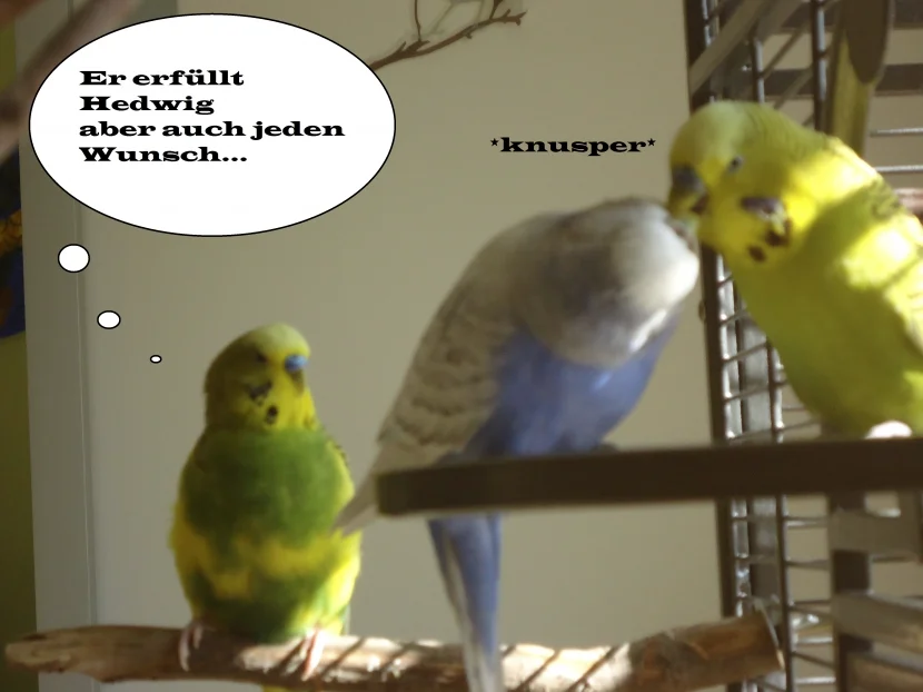 Bild3