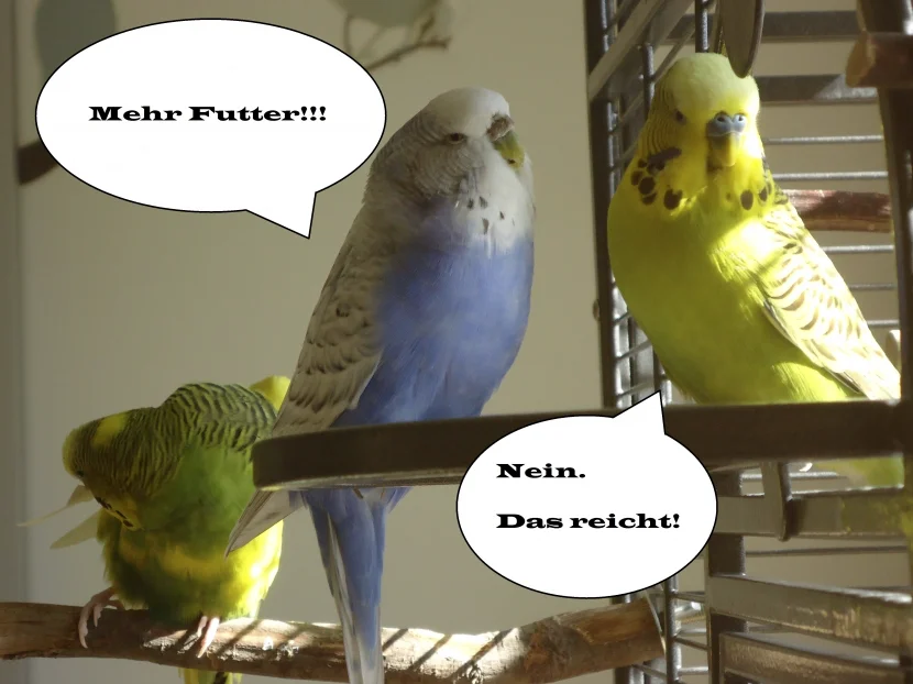 Bild5