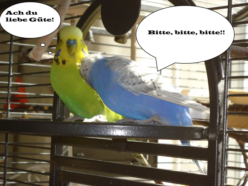 Bild6