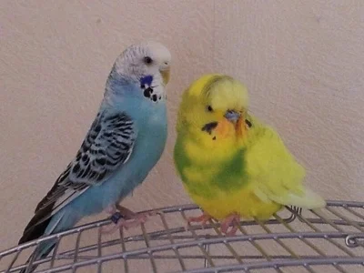 Emma mit Paulchen