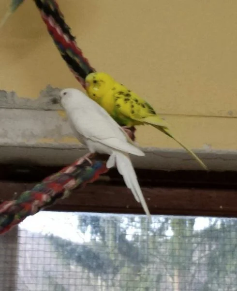Püppi und Nicki