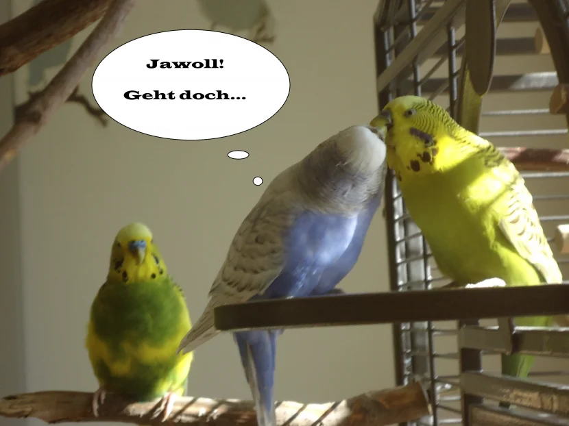 Bild7