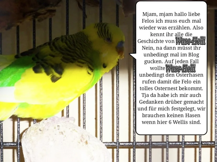 Welli Hansi erzählt