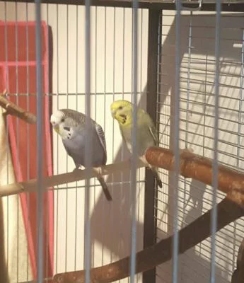 Boomer und Lilly