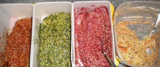 bunte Wellensittich-Kekse selber backen