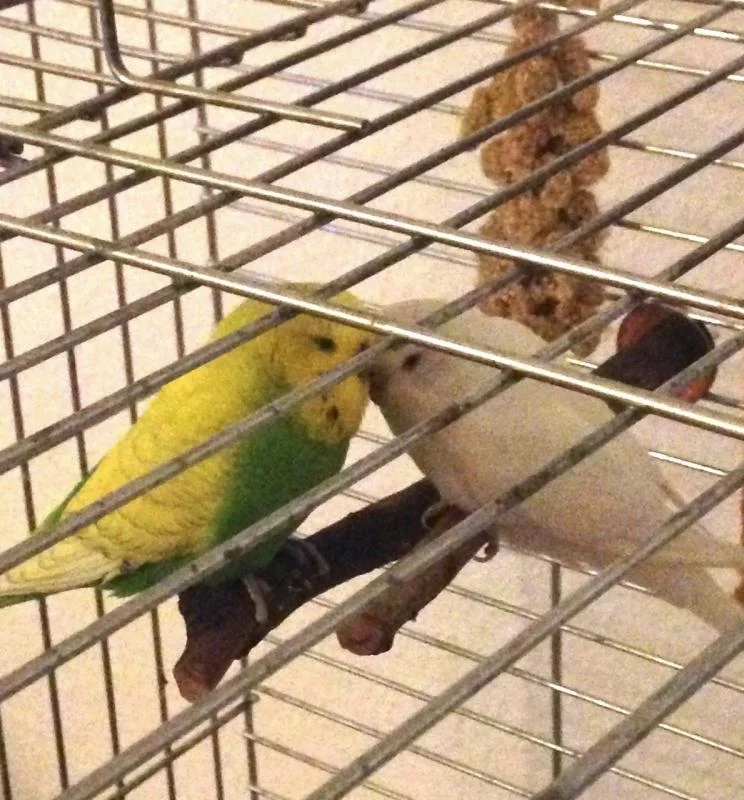 Dunja und Pieti