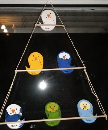 fenster