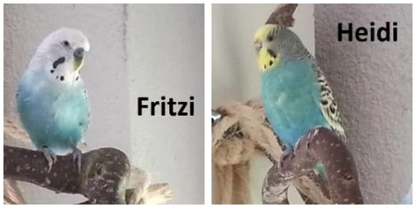 Friedelchen KW 29 - 15