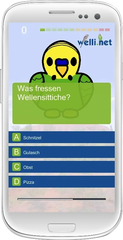 Wellensittich Spiel