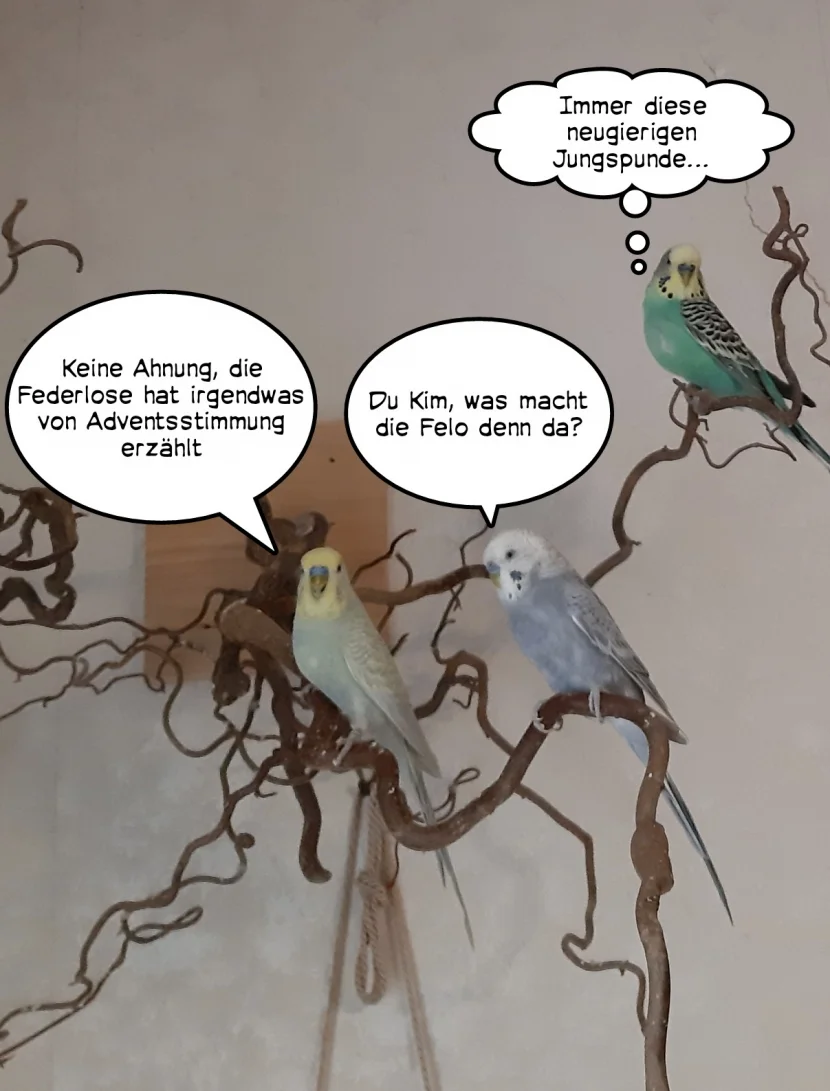 drei Wellis auf Haselast