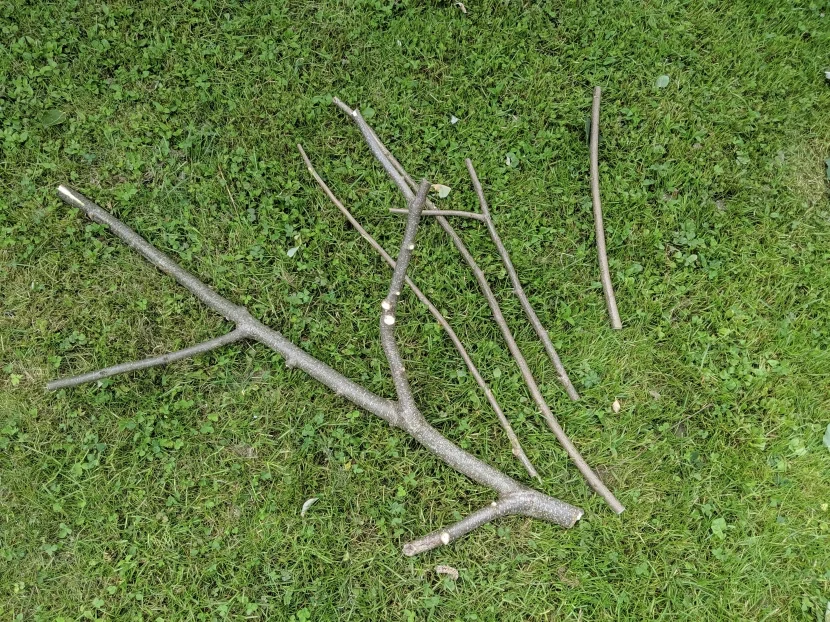 Haselnussäste für Wellensittiche zurechtgeschnitten
