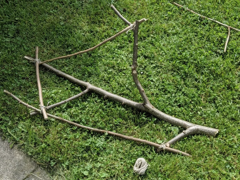Hängespielplatz Haselnuss für Wellensittiche 2