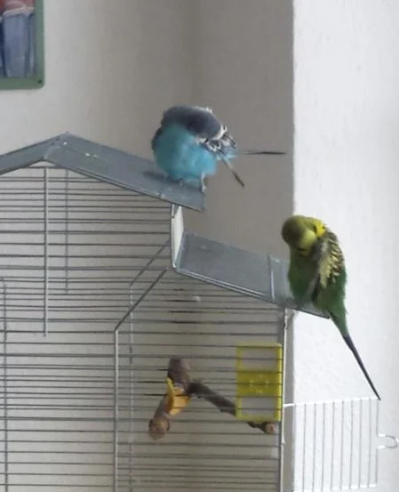 Leipziger Pärchen