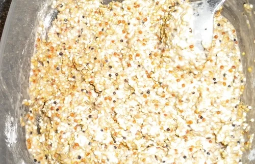 Wellensittich-Kekse selber backen Grundmasse
