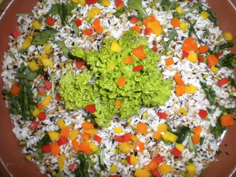 kochfutter für wellis
