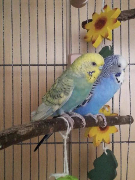 KW 23 Buki und Sammy