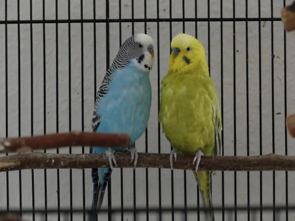 KW 23 Jack und Jonny