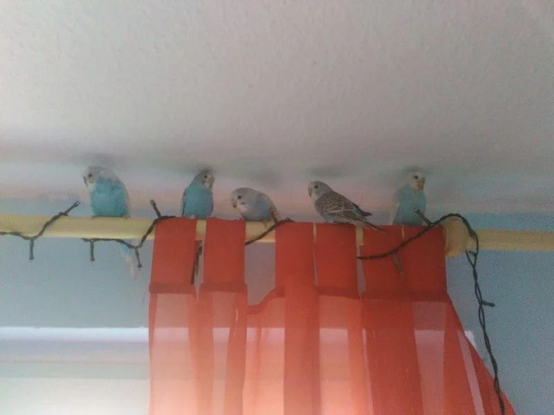 5-köpfige Wellifamilie in blau