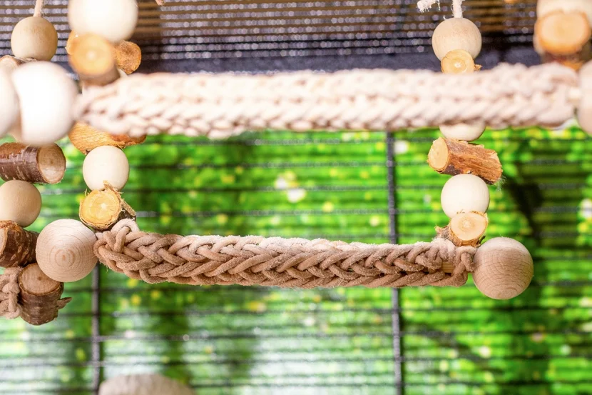 Sitzstange für Vögel aus Leder 