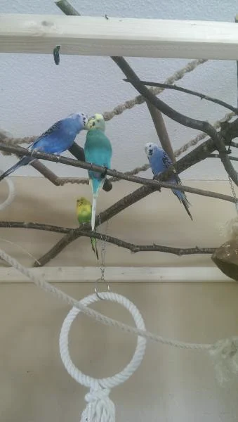 leo und nino