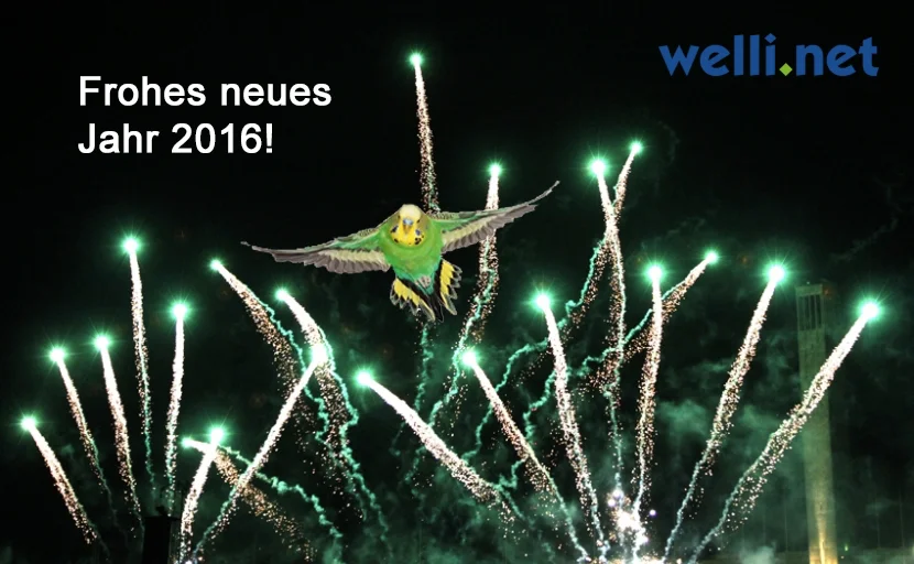 Frohes neues Jahr 2016
