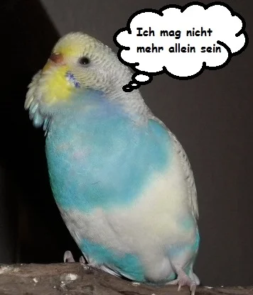 nichtallein