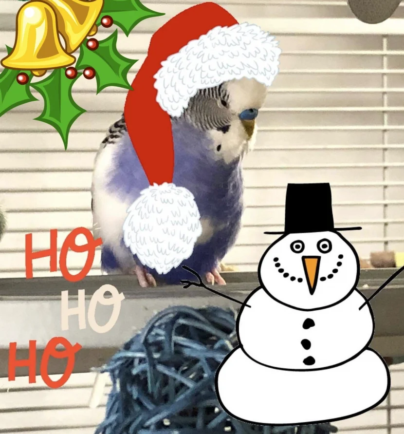 Welli als Nikolaus