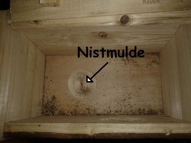 nistkasten innen