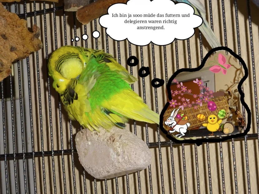 Welli träumt vom Osterhase
