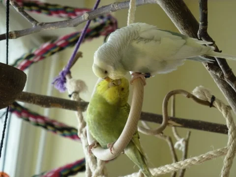 Lilly und Louis