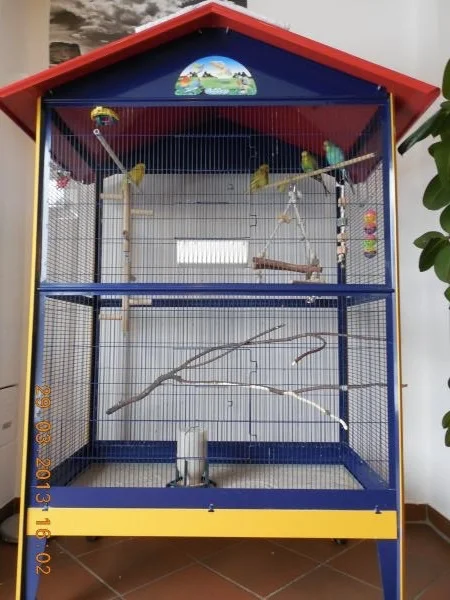 4 Wellensittiche Vermittlung Vogelkäfig Vogelvoliere günstig zu verkaufen