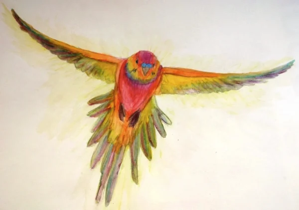 Regenbogenwelli