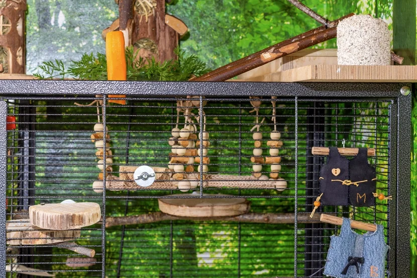 Wellensittichschaukel aus Leder und Holz