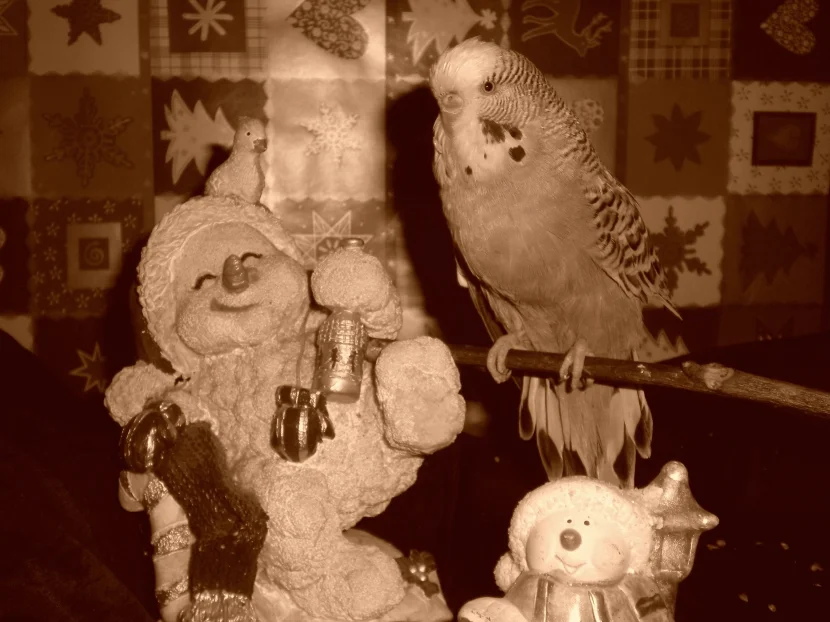 sepia
