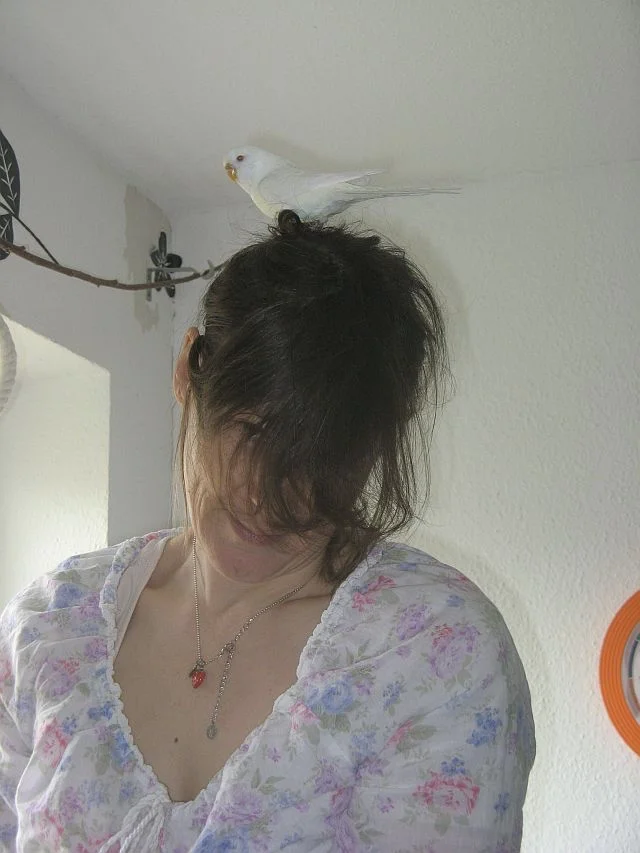 das Haarnest