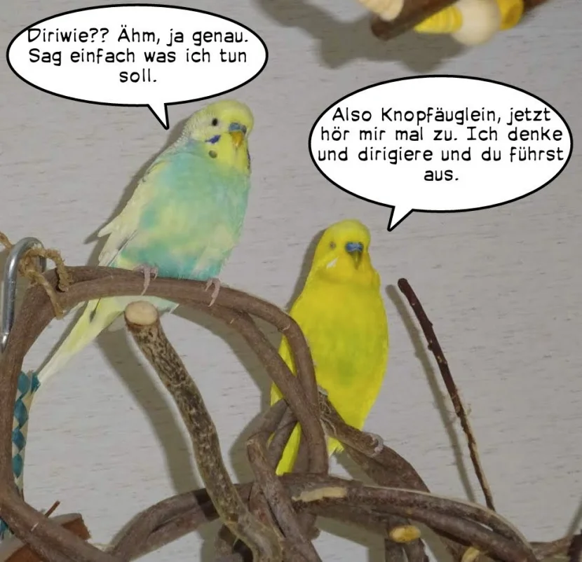 Comic zwei Wellis unterhalten sich