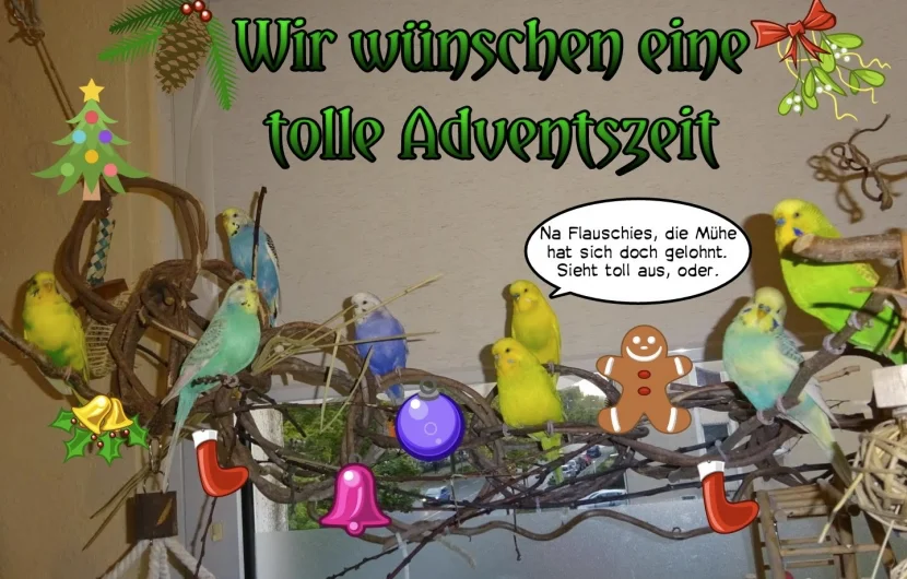 Comic Adventsgruß