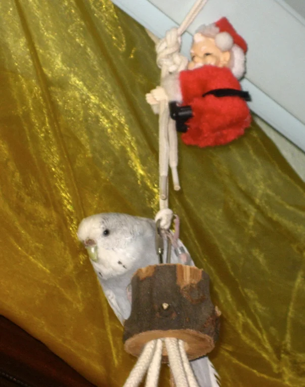 Hope und der Weihnachtsmann