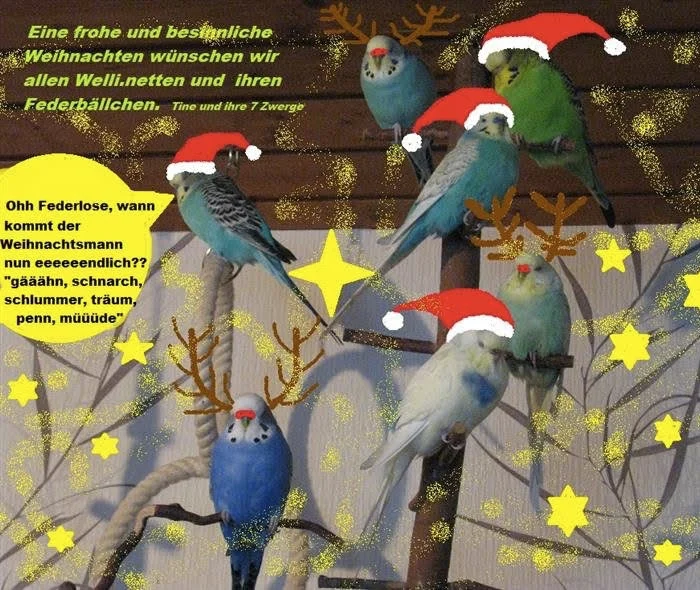 Wellibande wartet auf Weihnachtsmann