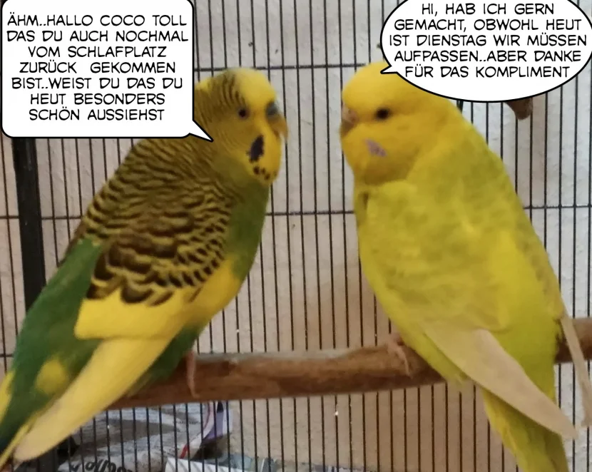 Gespräch Otto und Coco