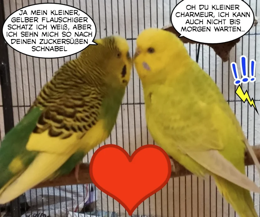 Kuss und Kompliment Otto und Coco