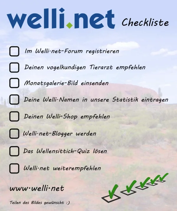 Welli.net Checkliste