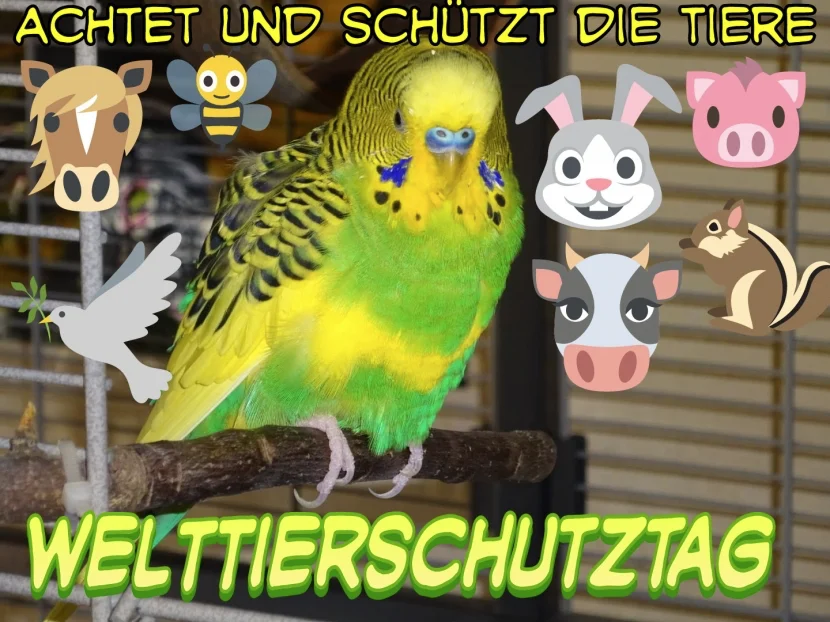 viele Tiere