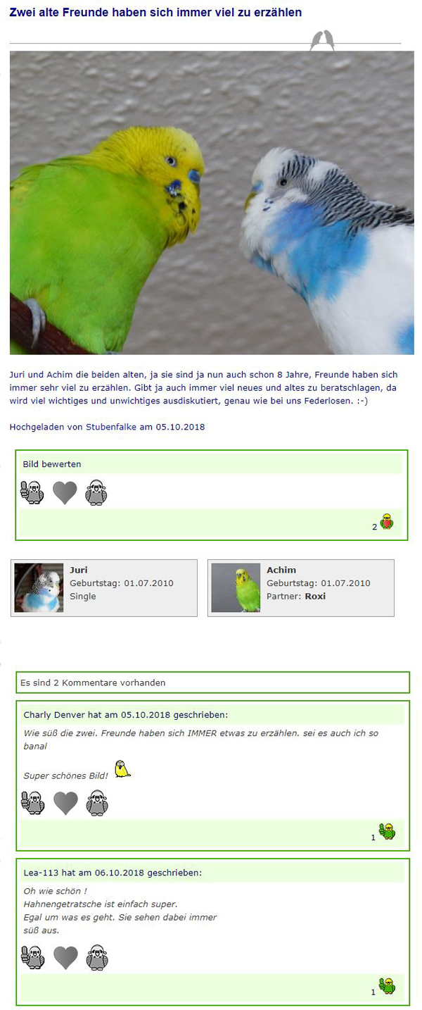 Beispielfoto aus der Bildergalerie