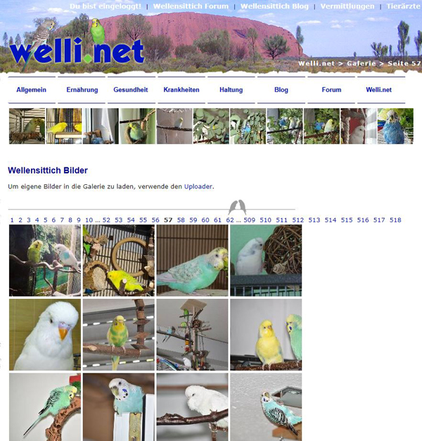 Bildergalerie Übersicht