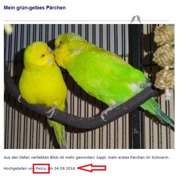 Bildergalerie Userbilder